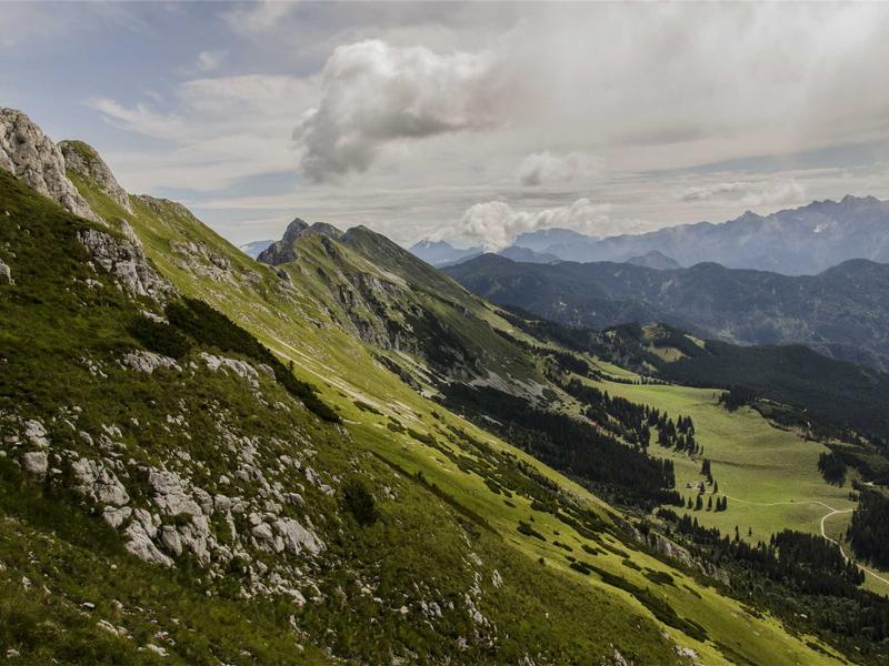 最后生还者<br>lyd4nhjn.cn 真菌孢子危机